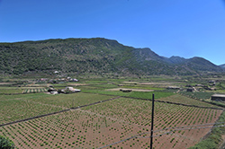 Piana di Monastero